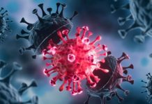 Delta Plus Variant, currently a Variant of Concern – Union Health Ministry