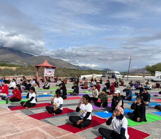 Unlocking the Power of Yoga: New Device to Enhance Memory and Combat Alzheimer’s